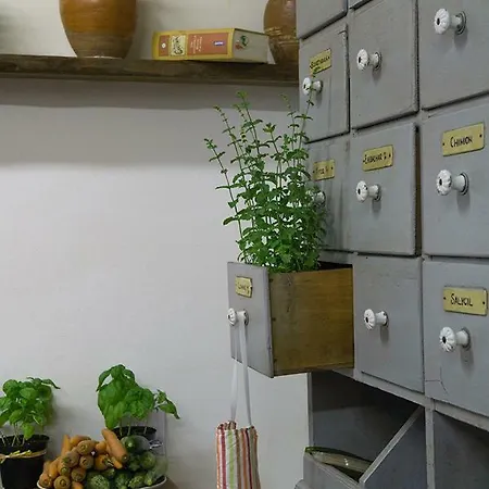 팜스테이 Flower House *